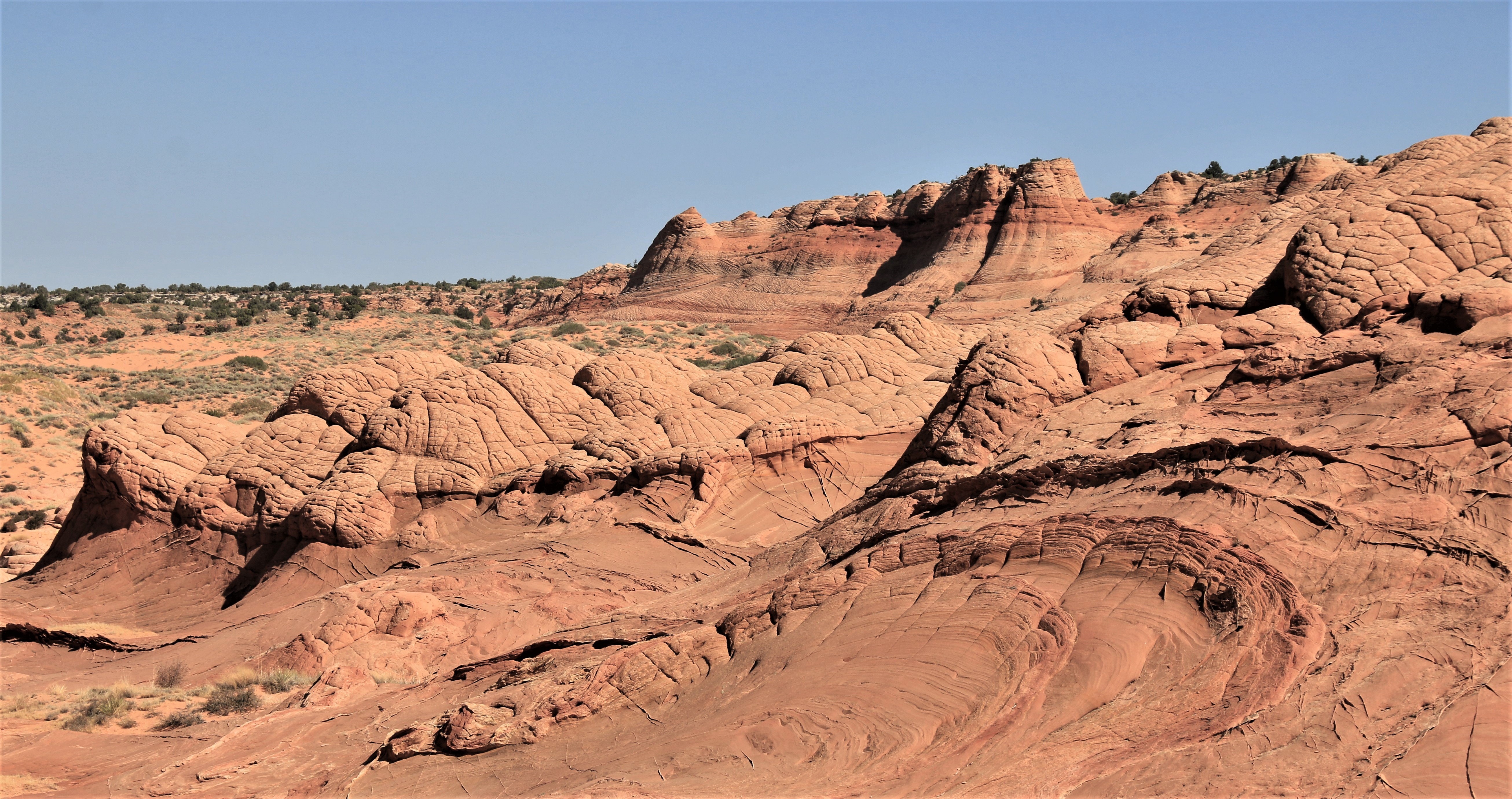 Vermillion Cliffs NM